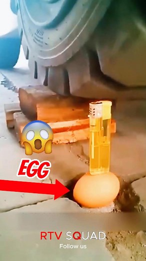 Forklift Driver’s Incredible Egg Challenge #Amazing #skills #machine | Pet Squad | Facebook