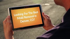 Best Mold Removal in Denver, CO
