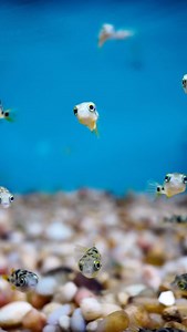 1.2K views · 64 reactions | ✨ Dive into the fascinating world of...