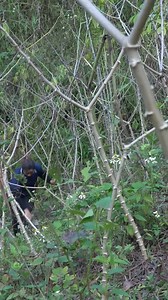 Build a warm and comfortable secret survival shelter #survival #hunting #fishing #food | I Am Primitive