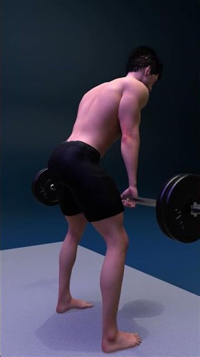 Best Barbell Leg Exercises