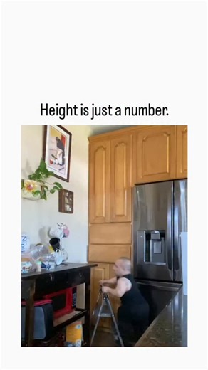 ViralSnap on Instagram: "- This 10-second video showcases a masterclass in adaptation and determination as one man tackles the "high shelf" challenge in his kitchen. - The Ascent: Using a small step ladder as his base, he nimbly climbs onto the kitchen counter, showing off some serious upper body strength and coordination. - The Strategy: Since the top cabinets are still out of reach, he pulls out a lower drawer to create a makeshift "stair" to gain that extra bit of height. - The Prize: Standin