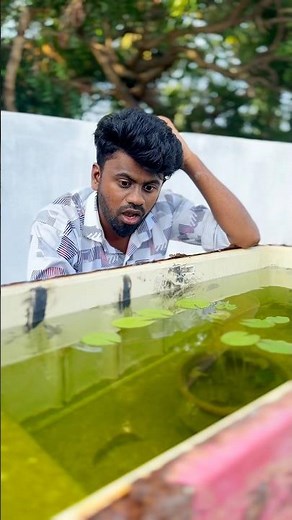 இப்படியா ஆகணும் 💔🙁| rolex alligator | panda Hamster