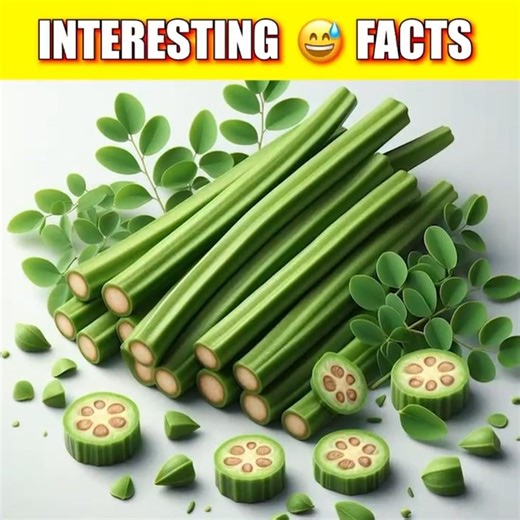 👤 Unbelievable INTERESTING 😅Facts in Just 32 Seconds! ⏱️ #facts #psychology #interesting