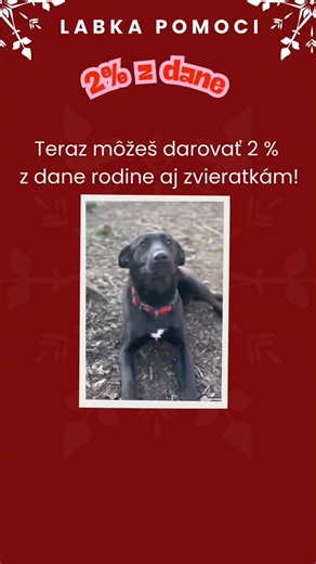 Labka pomoci útulok | https://labkapomoci.webnode.sk/2percenta/ Svoje 2% z dane môžeš teraz darovať viacerým: rodine aj zvieratkám. Daruj 2% maminke, 2% ockovi... | Instagram