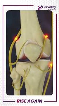 Say Goodbye to Knee Stiffness & Swelling |Radiofrequency Ablation #KneePainRelief #ParvathyHospitals