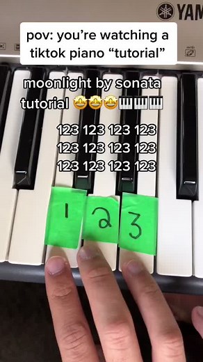 Piano Musician Classic: Moonlight Sonata Tutorial