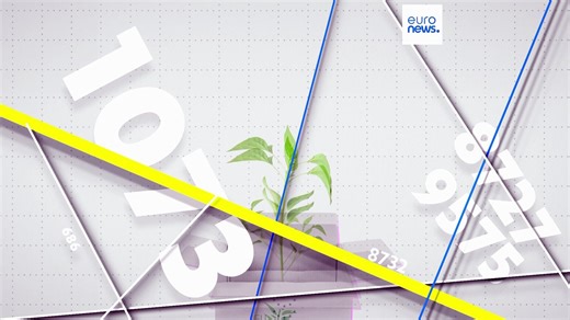 Video. Ecolabels: Which EU countries lead the way in sustainable goods?