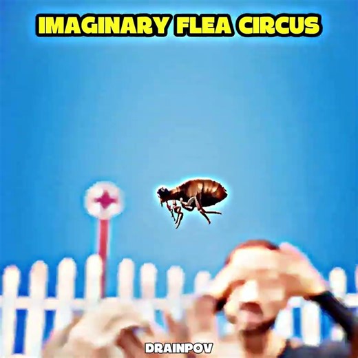 flea circus 💀 #edit #trollface #troll