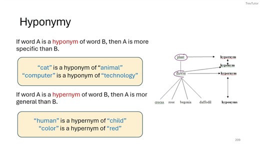 语言学公开课Introduction to Linguistics_ The Complete Crash Course