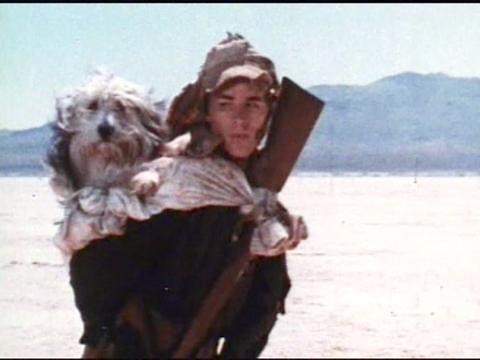 A Boy and His Dog (1975)
