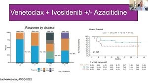 Novel Therapies in AML and MDS