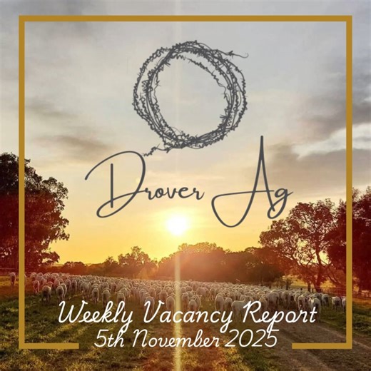 It's time for the 𝗗𝗿𝗼𝘃𝗲𝗿 𝗔𝗴 𝗪𝗲𝗲𝗸𝗹𝘆 𝗩𝗮𝗰𝗮𝗻𝗰𝘆 𝗥𝗲𝗽𝗼𝗿𝘁! 📢 Ready to take the next step in your Ag career? This week, we're featuring exciting roles in Queensland, South Australia, and New South Wales: 𝗚𝗲𝗻𝗲𝗿𝗮𝗹 𝗦𝘁𝗮𝘁𝗶𝗼𝗻 𝗛𝗮𝗻𝗱 (Dingo, QLD) 𝗠𝗮𝗻𝗮𝗴𝗲𝗿 (Kangarina Station, SA) 𝗟𝗶𝘃𝗲𝘀𝘁𝗼𝗰𝗸 𝗢𝘃𝗲𝗿𝘀𝗲𝗲𝗿 (Keith, SA) 𝗙𝗮𝗿𝗺 𝗛𝗮𝗻𝗱 (Dulacca, QLD) 𝗖𝗿𝗼𝗽𝗽𝗶𝗻𝗴 𝗢𝘃𝗲𝗿𝘀𝗲𝗲𝗿 (Nyngan, NSW) Visit our website for full details and to apply! 𝗡𝗼𝘁𝗲