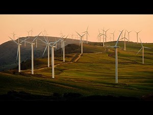 Wind Forecasting | Pivotal180