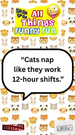 🤣 Funniest Every Day Animal Quotes that you might laugh at or say awww 🤣