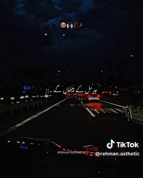 jad mil k Betha gay...🥺🙌🏻 . . . . . .#2025 #January #viral #fyp #fypviraltiktok🖤シ゚☆♡ #song #trending #vibes #nature #aesthetics #notes #lyrics #1millionaudition #100k