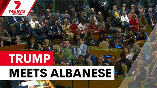 Albanese secures Trump meeting after UN showdown