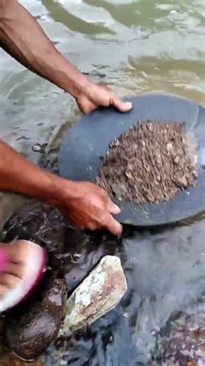 proses mencari emas di sungai #emaspelaburan