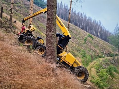 🌲*Highlander in SLOPE* • Konrad Forsttechnik highlander HL20-1 • HarvesterAction • Steilhang🌲