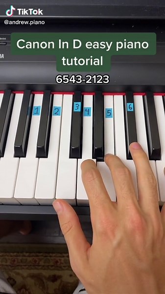 Canon In D (intro) easy piano tutorial #foryou #fy #foryoupage #piano #pianotutorial #music #fyp #xyzbca #canonind
