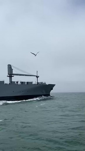 Photos you nees to see before you die😲 part 1 #thetimemachine2 #fyp #shorts #dailyfacts #foryoupageoffical #fypage #fyp #foryoupageoffical