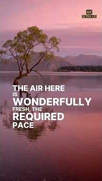 Kerala's Hidden Waterways TODAY! INDIA #kerala #backwaters #travel #facts #4k