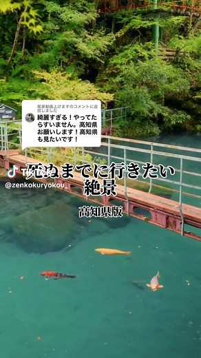 @風景動画上げますに返信 お待たせしました✨ 高知県のおすすめスポットがあれば教えてください✨ #高知県 #高知絶景 #高知観光 #高知旅行 #絶景スポット #観光スポット #観光地の一つ #日本の絶景 #japantravel #絶景 #国内旅行 #白龍湖 #四国カルスト #仁淀川 #仁淀ブルー #にこ淵 【動画ご提供者様】 IG: shierajim / keijifpv / __airyjpn__ / t_route_photo