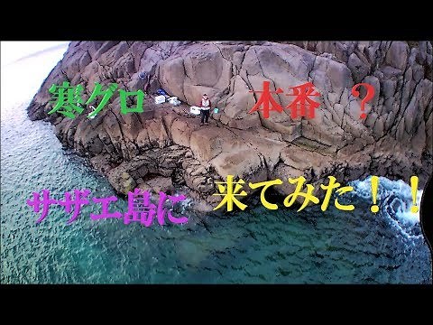 寒クロ本番？ サザエ島へ行ってメジナ釣りしてみた！！ ＝ IN五島列島 ＝