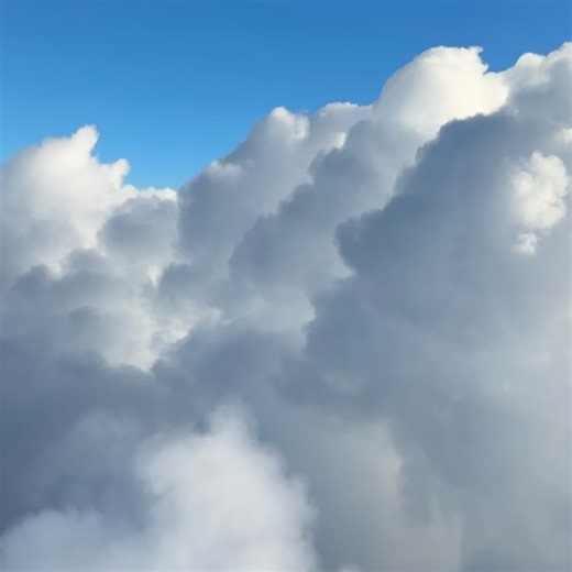 Total Access Travel Co on Reels