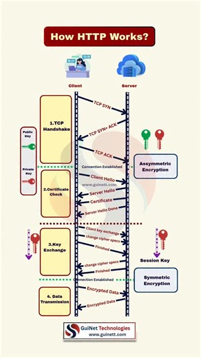 GuiNet Technologies on Instagram: "𝗘𝘃𝗲𝗿𝘆 𝘄𝗲𝗯𝘀𝗶𝘁𝗲 𝘆𝗼𝘂 𝗼𝗽𝗲𝗻 𝗳𝗼𝗹𝗹𝗼𝘄𝘀 𝗼𝗻𝗲 𝘀𝗶𝗺𝗽𝗹𝗲 𝗽𝗿𝗼𝗰𝗲𝘀𝘀 👇 𝗛𝗼𝘄 𝗛𝗧𝗧𝗣 𝗪𝗼𝗿𝗸𝘀 🌐 🔹 Client sends HTTP request 🔹 Server processes the request 🔹 Server sends HTTP response 🔹 Browser displays the data 📌 𝗛𝗧𝗧𝗣 = 𝗳𝗼𝘂𝗻𝗱𝗮𝘁𝗶𝗼𝗻 𝗼𝗳 𝘁𝗵𝗲 𝘄𝗲𝗯 💾 Save this for CCNA / CCNP 🔁 Share with a networking learner 👉 Follow @guinettechnologies for daily Networking, CCNA, CCNP, SD-WAN & Cybersecurity content. 𝐒𝐭𝐚