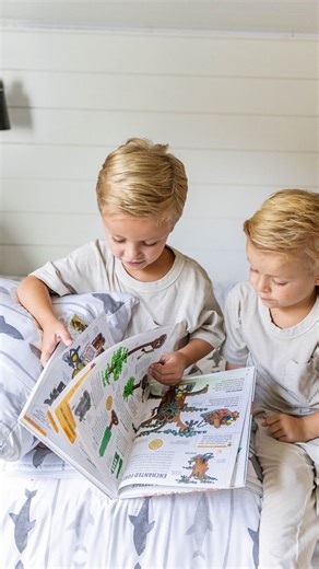 11K views · 11 reactions | Our Beddy’s on-the-go blanket is the...