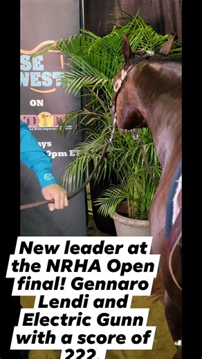 #horseofthewest #slideofyourlife #NRHA #RFD-TV | Horse of the West