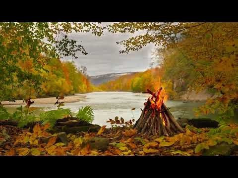 4K 🔥 Campfire by the River 🌲Soothing Sounds of Nature