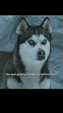 Do you know how smart dogs are? #animals