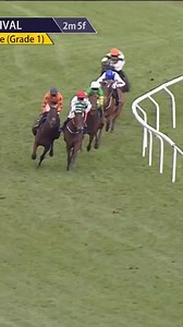 133K views · 585 reactions | Different class from The New Lion | Racing TV | Facebook