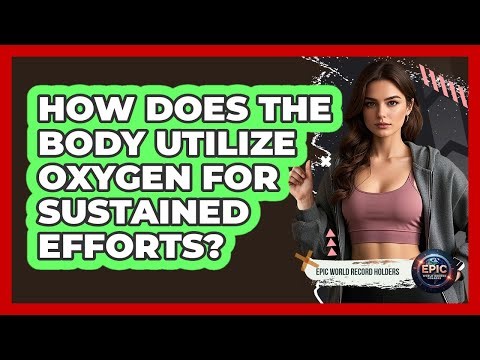 How Does The Body Utilize Oxygen For Sustained Efforts?