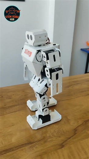 Row 🤖 Humanoid Robot | AI & ML Innovation | STEM ROBO HUB
