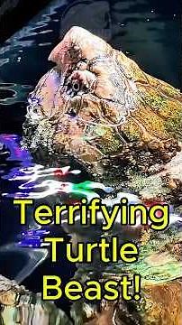 “Terrifying Beast – The Adult Alligator Snapping Turtle”
