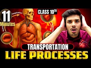 Transportation & Excretion in 11 Minutes 🔥 | Life Processes Class 10 | Chapter 5 CBSE