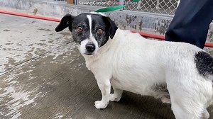 3.2K views · 140 reactions | RESCUED - moved to SAFE Album on 03/13...