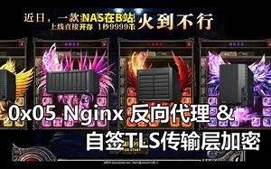【DIY Win NAS】0x05 Nginx反向代理 & 自签TLS传输层加密 | 都什么年代了还在用传统NAS