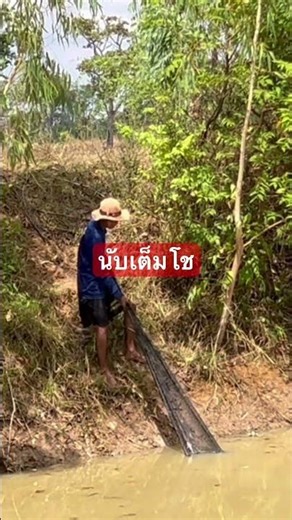 Let's count how many fish we catch.