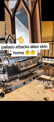 #fouryou❤️❤️ #yyyyyyyyyyyyyyyyyy #alienskinug