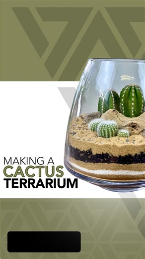 Are the cactus real? In this cactus terrarium tutorial I reveal my secrets. 🌵 #terrarium #terrariumdesign #terrariumlove #terrariumdreams #moss #howto #diy #fyp #terrariumsofinstagram #portland #cactus #succulents #beaverton #pdx #plantshop #local #smallbusiness #plantsplantsplants #plants #plantsmakepeoplehappy #plantsoffacebook #cactus | Johnathon Q Swanson