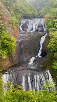 茨城県 袋田の滝、竜神大吊橋 滝はマイナスイオン感じられてやっぱりいいですね 竜神大吊橋は大自然が良くて、鯉のぼりも観れちゃいました #茨城県#袋田の滝#恋人の聖地#竜神大吊橋#鯉のぼり