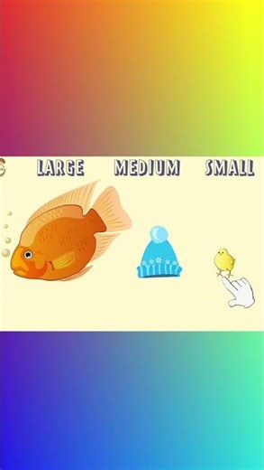 Compare objects by size. Large fish, medium hat, small strawberry.