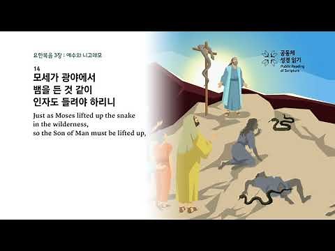 요한복음 3장