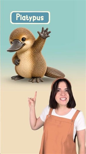 Guess the Animal! 2 | Fun Animals for Kids #english #preschool #kids
