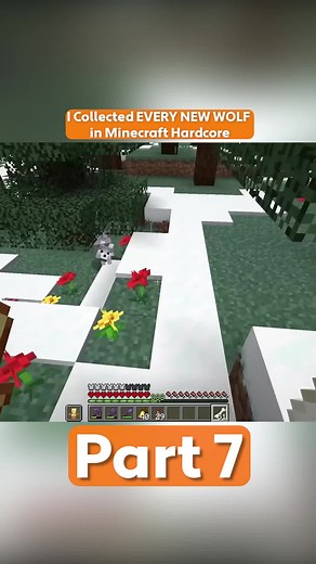 i collected every new wolf in minecraft hardcore #minecraft #hardcore #letsplay #fyp