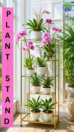 Creative Plant Stand Ideas for your Inspiration